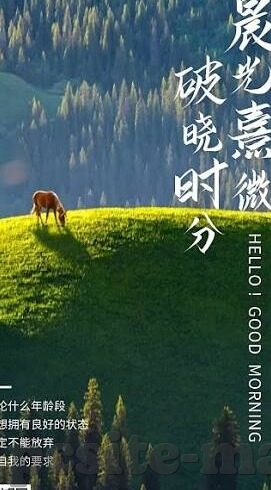 果冻传媒女演员斑斑-斑斑，果冻传媒下的一颗璀璨新星