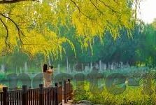 久草麻豆av-做好自己，远离久草麻豆AV