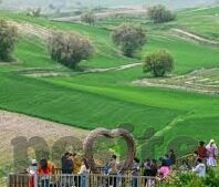 恐怖伦理片-恐怖伦理片，人性深渊的镜像探索