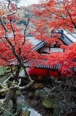 麻豆啊传媒app下载免费-麻豆啊传媒 —— 云端娱乐新宠，尽享免费高清盛宴