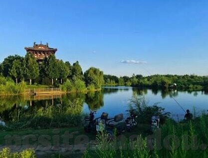 麻豆视频91视频-麻豆视频91视频，网络时代的文化与伦理交汇点