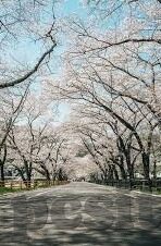 日韩一区二区三区av-日韩影视文化中的区域性内容探索