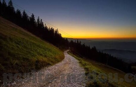 无码麻豆av在线-探索网络内容的多元性，新媒体时代的信息选择